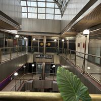 Entry doors straight aheadd  at Moba Plantbased in Belgrade