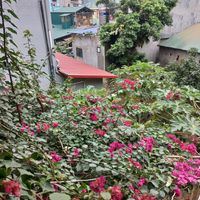 gorgeous view at Lazy Bug - Chay Cao Bang in Cao Bang