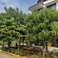 Terrace  at Sweet Spot in Puerto Escondido