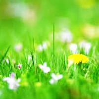 Grateful~ at The Gardens Seasonal Kitchen in Fairfield