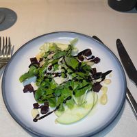 Vegan Fall Saladd  at Noja Restaurant in Mobile