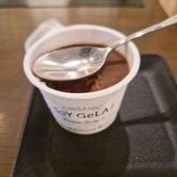 Vegan chocolate icecream at Vegan Ramen by Playpen Friends in Osaka