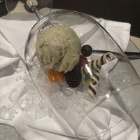 Vegan basil sorbet - careful, the chocolate spiral it comes with is not vegan   at La Cucina in Soelden