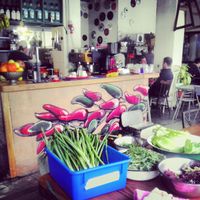 front at Zakaim - Vegan Boutique in Tel Aviv