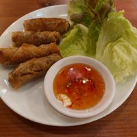Spring rolls at Vietnamese Restaurant Hoi An - ベトナム料理店ホイアン in Osaka