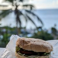 Local pigeon pea patty (say that 5x fast) 😲 at Love Thyself Vegan Kitchen in St Georges