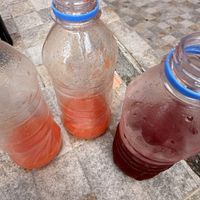 No sugar added fresh juice and veggie drinks   at Love Thyself Vegan Kitchen in St Georges