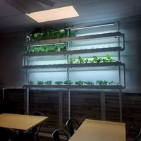  at Gray Leaf Cafe in Freehold