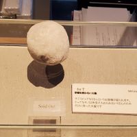 砂糖不使用の特別な和菓子(要予約) #Veganuary at Mochi Takumi Shizuku (Kishiwada Main Store) - 餅匠しづく 岸和田本店 in Osaka