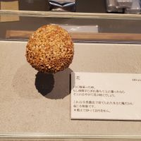 最高の食べ物 #Veganuary at Mochi Takumi Shizuku (Kishiwada Main Store) - 餅匠しづく 岸和田本店 in Osaka