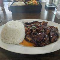 Eggplant basil tofu lunch at Andaman Thai Cuisine in Framingham