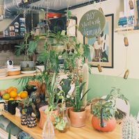 inside   at Koala Kaktus in Izmir