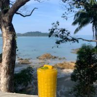 Whole mango smoothie  at Spiral Resort  in Koh Phayam