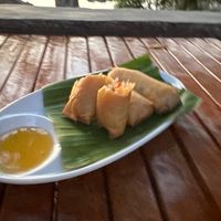 Homemade spring rolls  at Spiral Resort  in Koh Phayam