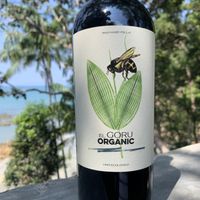 Organic & tasty Vino they have  #Veganuary at Spiral Resort  in Koh Phayam