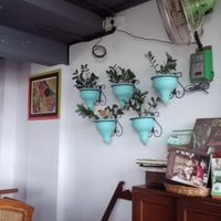 décor at Paradigm Shift Vegan Cafe in Bangalore