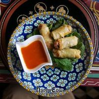 My spring rolls at Nord-Pinus Tanger in Tangier