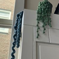 Crocheted plants !  at Koek van Nouk in Arnhem