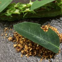  at Herbivore by Locavore in Ubud