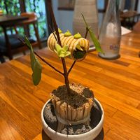  at Herbivore by Locavore in Ubud