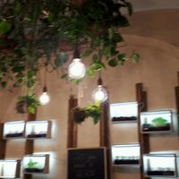 Decor at Fa Bio in Rome