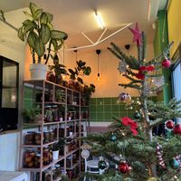   at Vegan Friends Kitchen in Warsaw