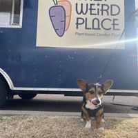 Pet friendly! #Veganuary at That Weird Place in Amarillo