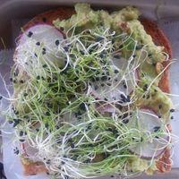 Avocado Toast at Verdine - Food Truck in Houston