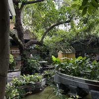 Interior  at Avocado Resto & Cafe in Hoi An