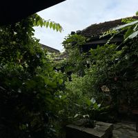 Interior  at Avocado Resto & Cafe in Hoi An