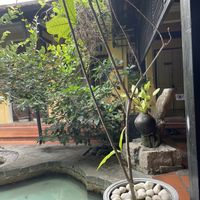   at Avocado Resto & Cafe in Hoi An