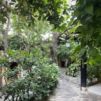   at Avocado Resto & Cafe in Hoi An