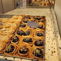  at Cinnamood in Vienna