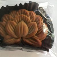   at The Pretty Bear's Bakery in Pensacola