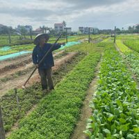  at Faifoo Central Restaurant in Hoi An