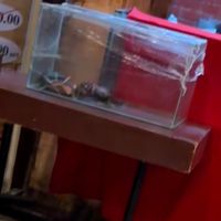   at Don Vito in Boracay