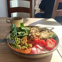 Budda bowl with Tofu at Daržo Dubuo in Vilnius