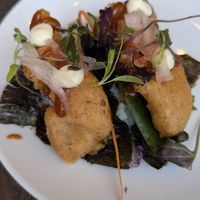  at Kimusabi in Newtown