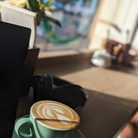 Oat flat white at Neo Cafe & Eatery in Wellington