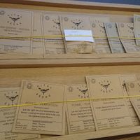 Seeds for sale at Five Acres in St Andrews