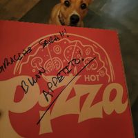  at Pizza Per Voi  in Alajuela