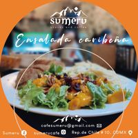 Ensalada frescas con jamón y milanesa vegana. ¡Ideal para mantener en equilibrio la salud! at Sumeru in Mexico City