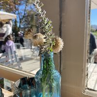 Flowers in the window  at Tarras Country Cafe in Cromwell