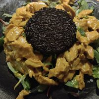 Planted chicken with coconut milk and rice at Montenapoleone Bassano in Bassano Del Grappa