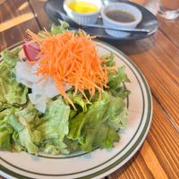  salad with veggies from Kanagawa prefecture  at O C Dining in Yokohama