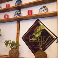 Interior view #Veganuary at Arepa Mia in Madrid