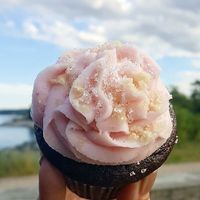 The most precious little vegan cupcake. at Wild Leek in Halifax