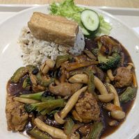 Vegan Black Bean Bittergourd Soy Chicken Rice at Organic Vegetarian @ Pavilion KL in Kuala Lumpur
