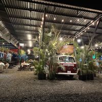 View from food garden entrancee  at Phat Noodle Express in Uvita