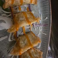  at Koko Organic in Prague